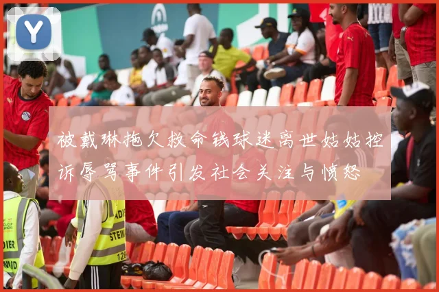 被戴琳拖欠救命钱球迷离世姑姑控诉辱骂事件引发社会关注与愤怒