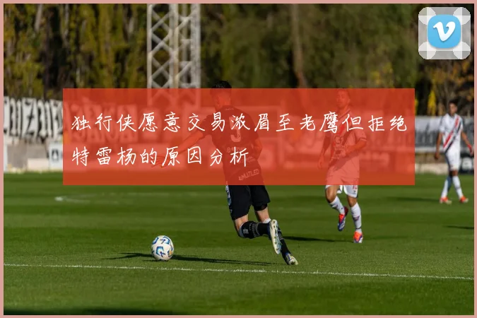 独行侠愿意交易浓眉至老鹰但拒绝特雷杨的原因分析